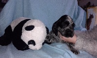 MURPHY